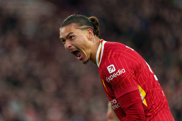 表团的旗手 表团的旗手