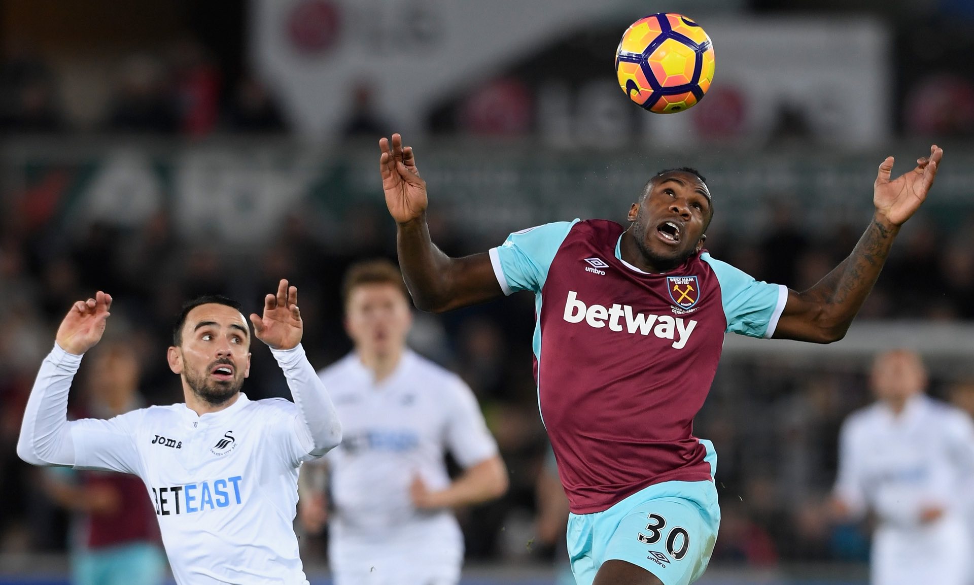 顽强毅力和 顽强毅力和