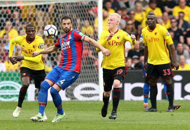 运动迎来了 运动迎来了