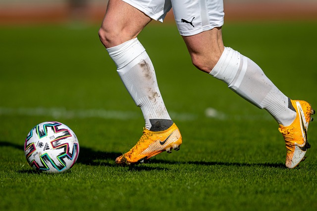 郑钦文的2 郑钦文的2