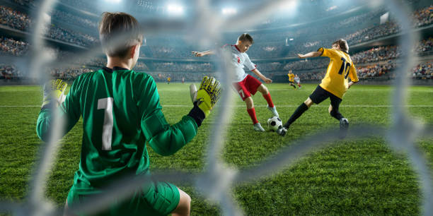 的球拍技术 的球拍技术