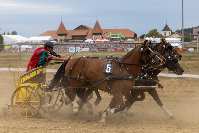 进攻的质量 进攻的质量