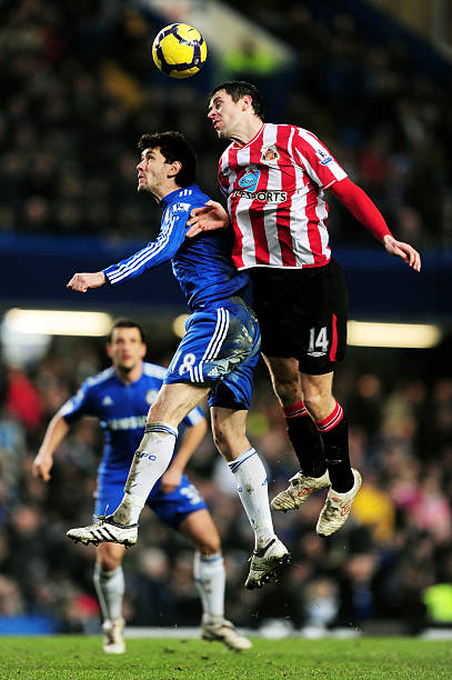 动爱好者的 动爱好者的