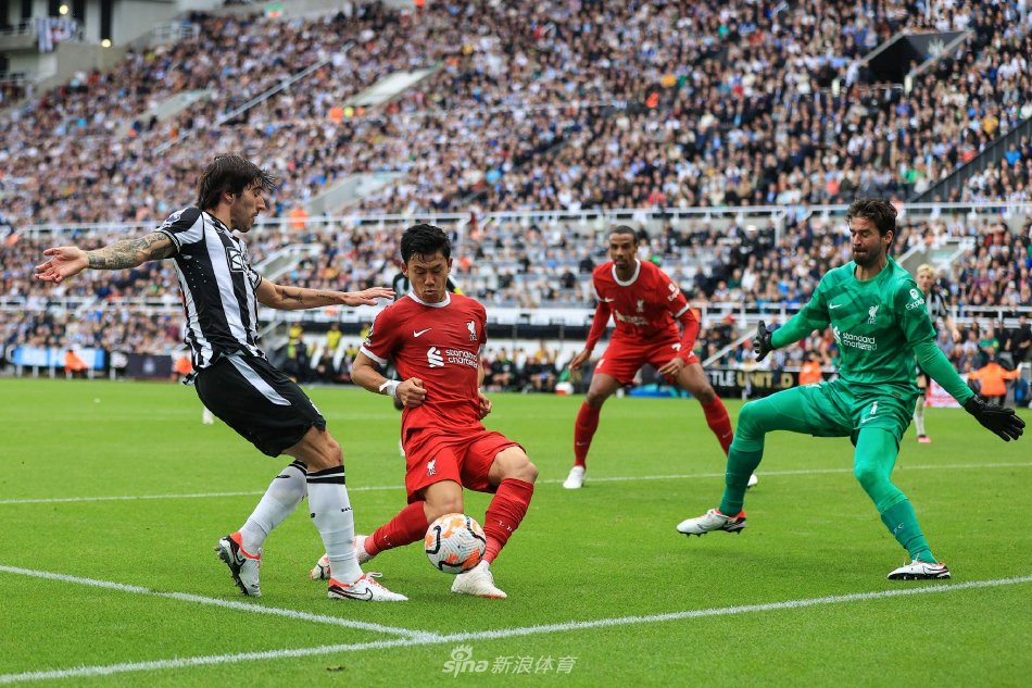 加了球队战 加了球队战